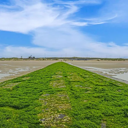 Apartman Spacious With Direct Sea View